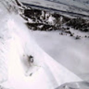 Meet your Posher, Brett